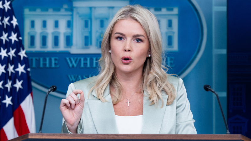 White House Press Secretary Karoline Leavitt warned that left-wing policies such as cashless bail have sparked violent crime trends in cities nationwide, including Democrat-run cities located in Republican-run states. 
‘There is crime in all states, but the crime in these cities is all in cities that are run by Democrats. If you look at the list of the top 20 high-crime cities in the United States, every single one — with the exception of one in Louisiana — is run by a Democrat. And these Democrats have supported the same policies that I spoke about at the beginning of this briefing, like cashless bail,’ Leavitt said. 
The press secretary was responding to a question on whether the administration would also work with Republican governors to address cities rocked by crime, instead of focusing on Democrat-run jurisdictions in blue states. President Donald Trump has repeatedly threatened crime crackdowns in Chicago and Baltimore, which are located in Democratic states, while crime-riddled cities such as Memphis, which is located in Republican Tennessee, have not received the same level of attention for its crime trends.
Leavitt argued that current violent crime trends are due to left-wing justice policies that affect cities no matter if they are in a Republican or Democrat state, pointing to Jackson, Mississippi, and Birmingham, Alabama, as examples.  
‘If you look at a red state, Mississippi, but a Democrat-run city in that state — Jackson. In 2019, Jackson, Mississippi, eliminated cash bail for virtually all misdemeanor cases. And while Jackson is not formally a sanctuary city, the state of Mississippi formally banned sanctuary cities, and this city has acted as a de facto sanctuary city for criminals and illegal aliens since 2017,’ she said. 
‘Same thing: Birmingham, Alabama. A Democrat-run city in a red state in 2017, the Birmingham City Council unanimously passed a resolution, quote, committing to establish sanctuary policies. So, if you actually look at the facts from these Democrat-run cities, these are cities that are run by Democrats and by blue, by members of the Democrat Party. These are blue cities. And they have all supported these disastrous policies which allow repeated career criminals back onto the streets to further commit acts of violence.’
Trump’s presidential campaign included repeated vows to bring crime down across the U.S. following the nation’s bloody trends that began in 2020 amid the defund the police protests and riots that summer. On Aug. 11, he federalized Washington, D.C., under Section 740 of the District of Columbia Home Rule Act, part of his campaign vow, which allows the president to assume emergency control of the capital’s police force for 30 days. 
After homicides have dropped and more than 2,000 arrests, Trump has celebrated the D.C. crime crackdown as an example for other cities and has since repeatedly floated sending the National Guard into cities such as Chicago. Local leaders, including Chicago Mayor Brandon Johnson and Democratic Illinois Gov. JB Pritzker, have shunned such talk as unnecessary and a form of ‘authoritarianism.’
‘The president wants to work with anyone across this country who wants to end these horrible policies and to bring law and order to our streets. And I think that is proven by his tremendous cooperation with the mayor of Washington, D.C., and our nation’s capital. And just look at the results of that,’ Leavitt continued. 
This post appeared first on FOX NEWS Dem crime policies crippling cities even in Red states as crackdown intensifies, White House warns